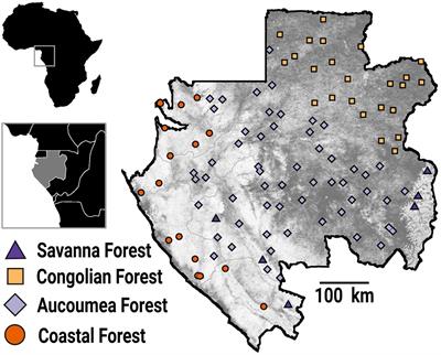 Distinct Community-Wide Responses to Forecasted Climate Change in Afrotropical Forests